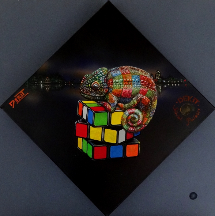Caméléon sur Rubik cube